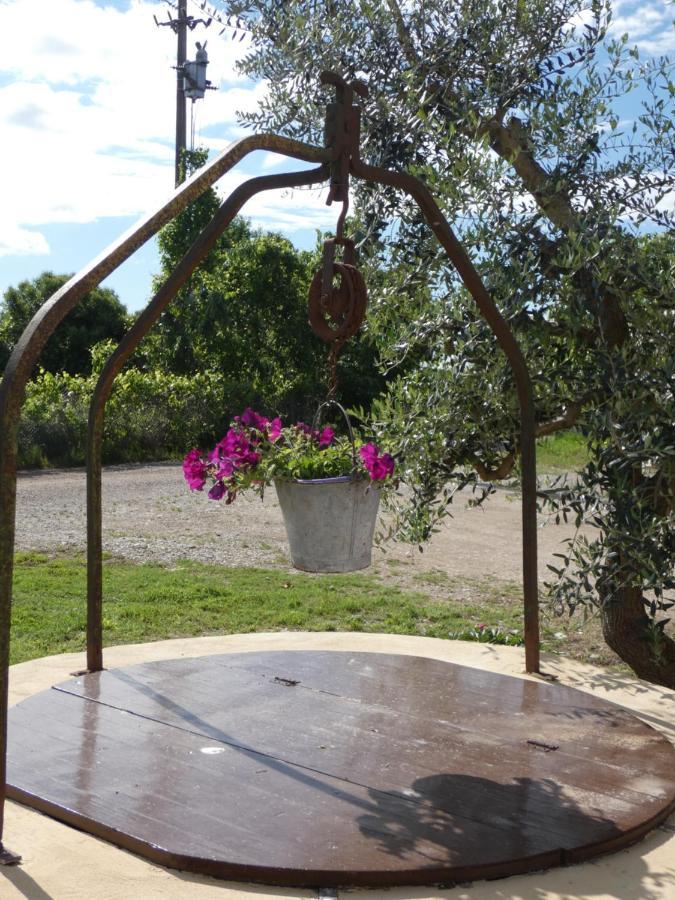 Agriturismo Il Fontanile Valeggio sul Mincio Exterior foto