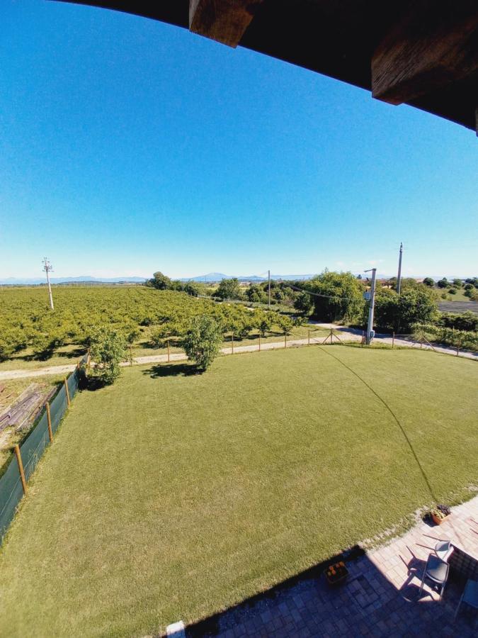 Agriturismo Il Fontanile Valeggio sul Mincio Exterior foto