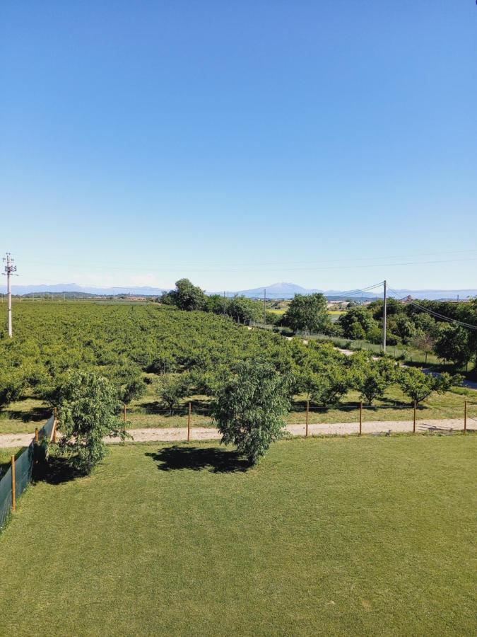 Agriturismo Il Fontanile Valeggio sul Mincio Exterior foto